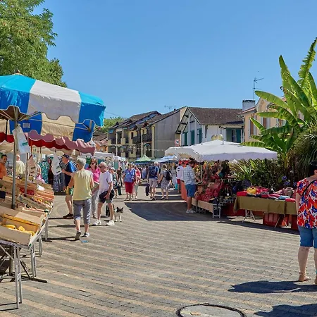 Apartment T2 2 Pers A Barbotan, Animaux Admis - Fr-1-841-4 *