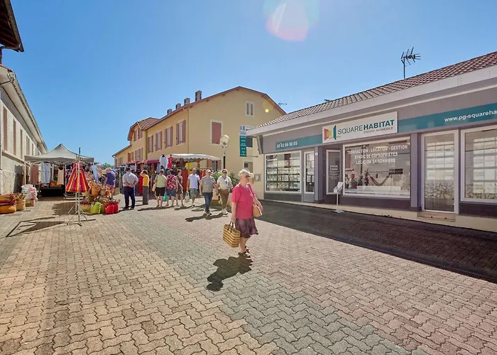 T2 2 Pers A Barbotan, Animaux Admis - Fr-1-841-4 *