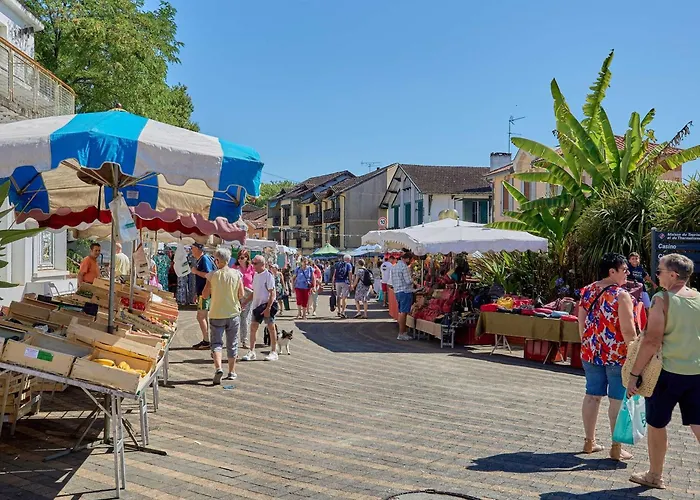 アパート T2 2 Pers A Barbotan, Animaux Admis - Fr-1-841-4 *